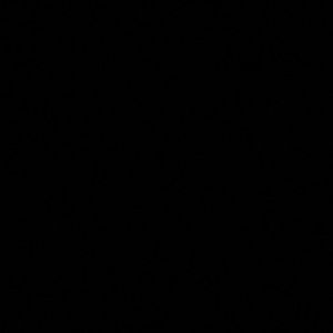 Meet your Posher, Yaritza